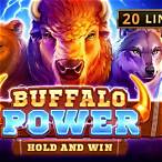 buffalo hold and win slot